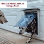 Using A Dog Door In Your Garage Door